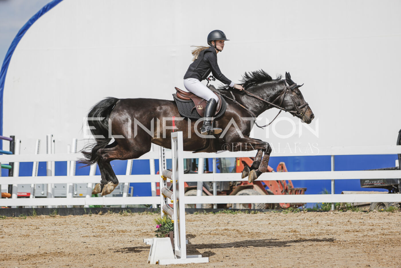 Gramina_Kevad_2026_110_249