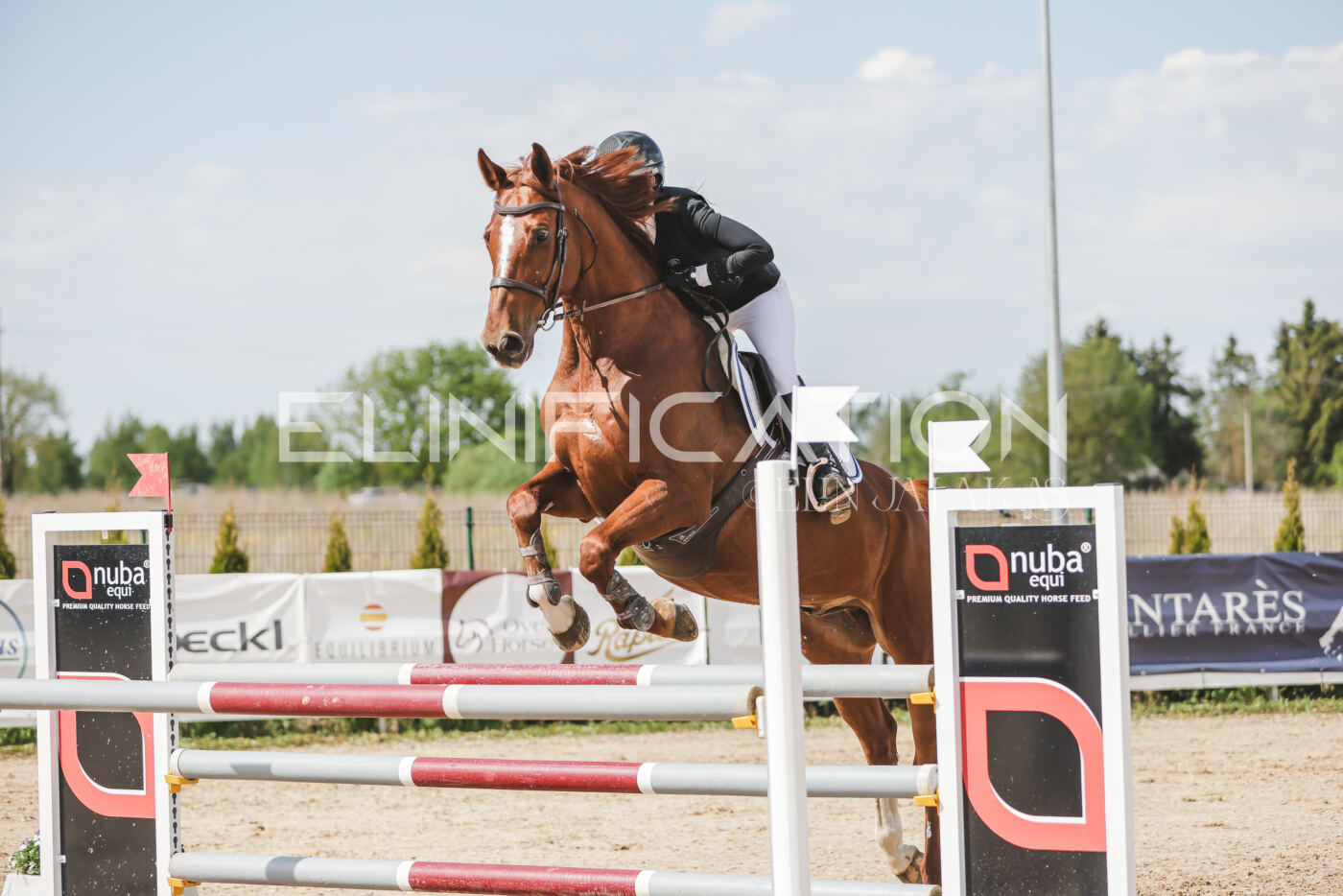 Gramina_Kevad_2026_110_259