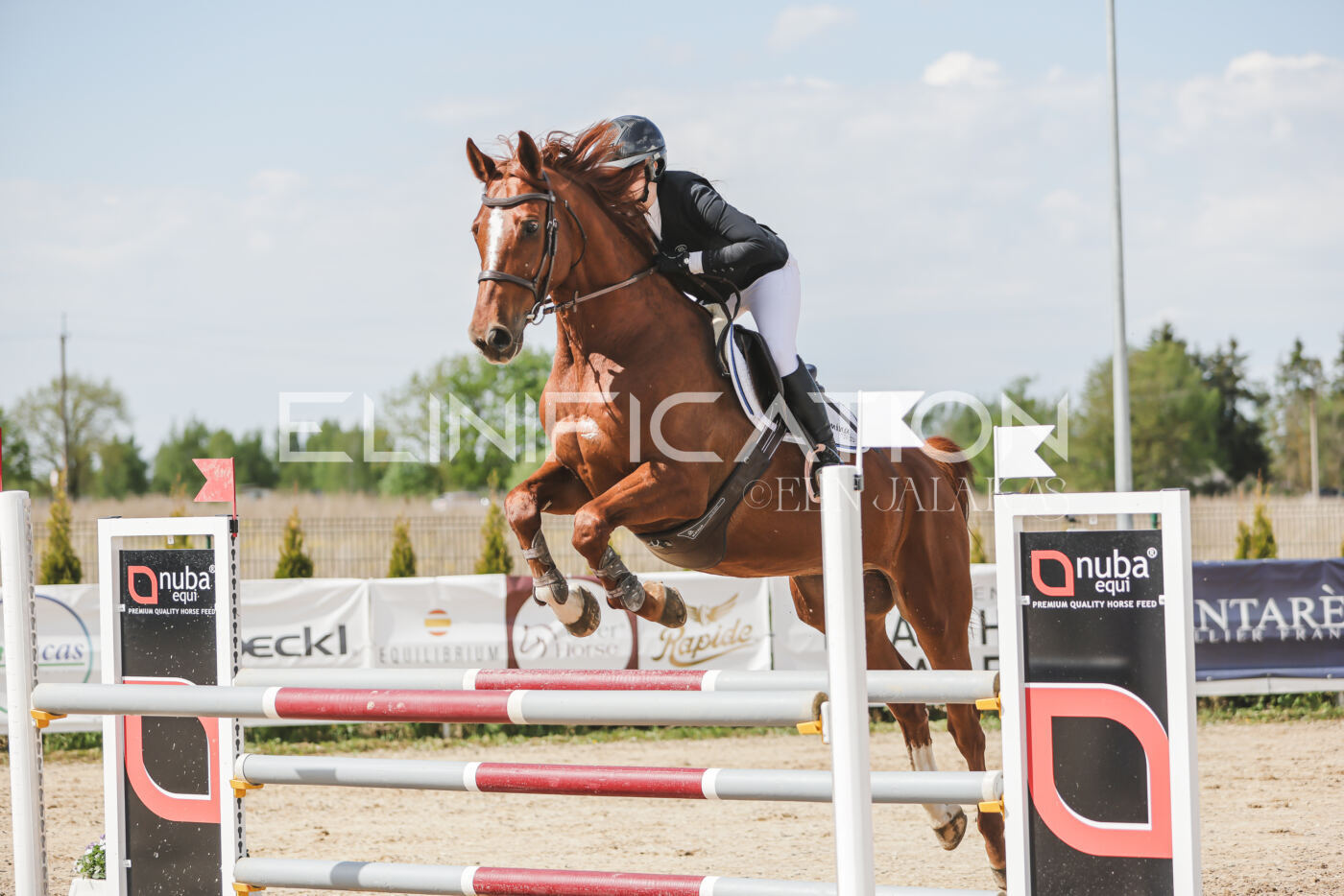 Gramina_Kevad_2026_110_260