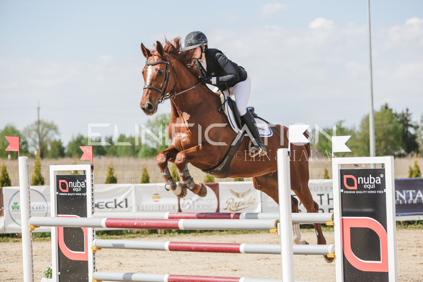 Gramina_Kevad_2026_110_261