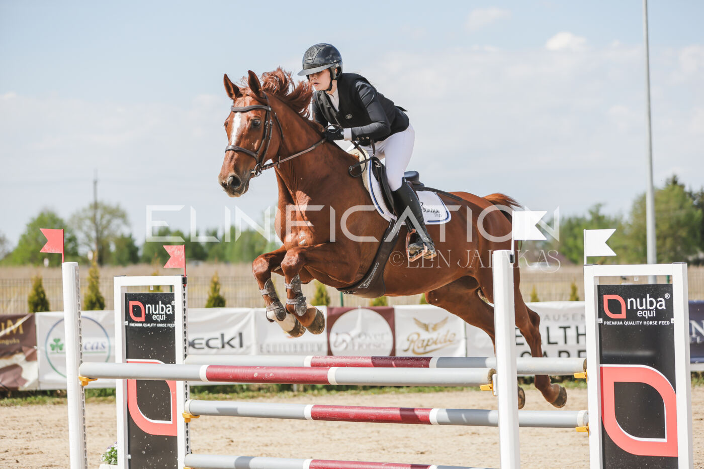 Gramina_Kevad_2026_110_262