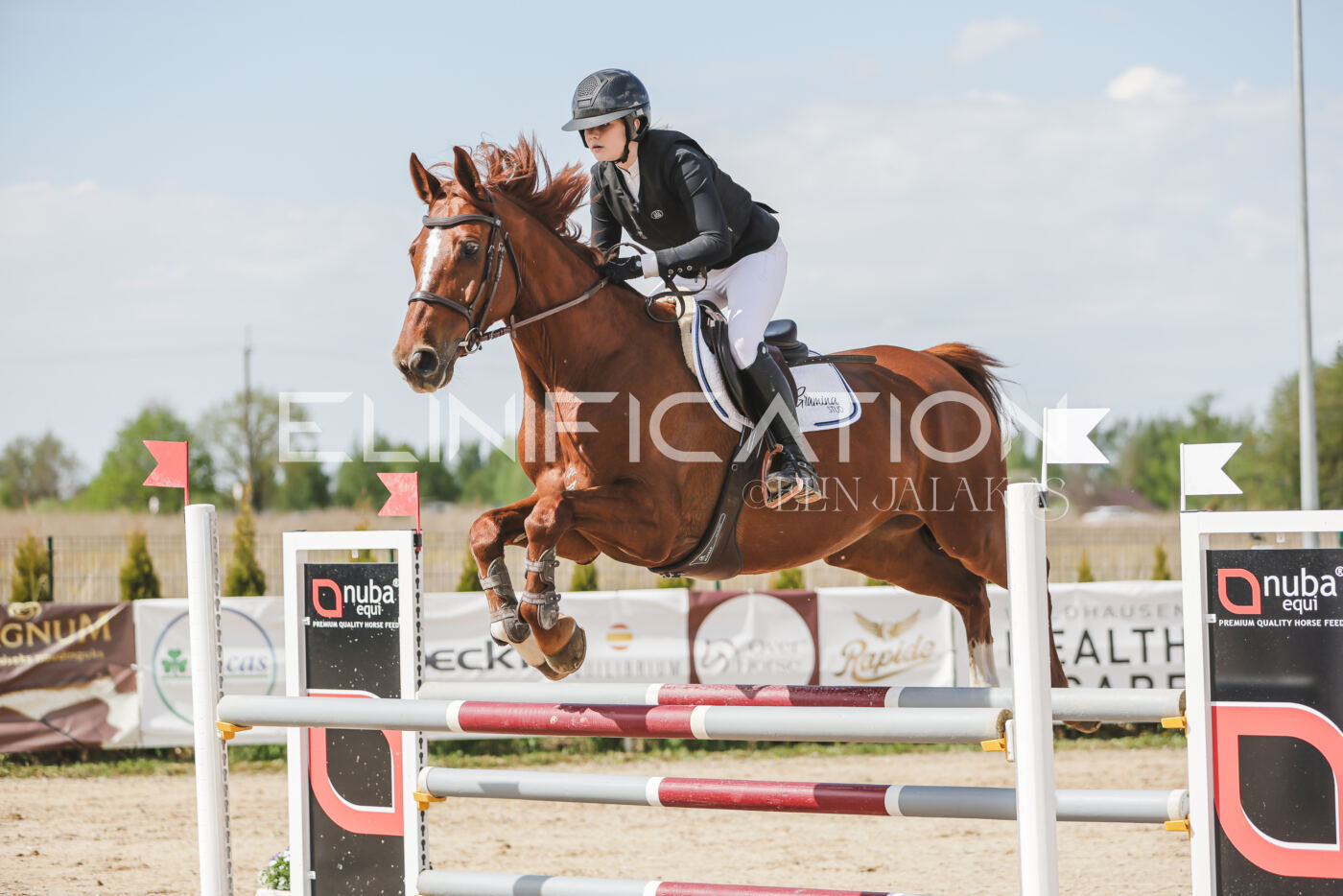 Gramina_Kevad_2026_110_263