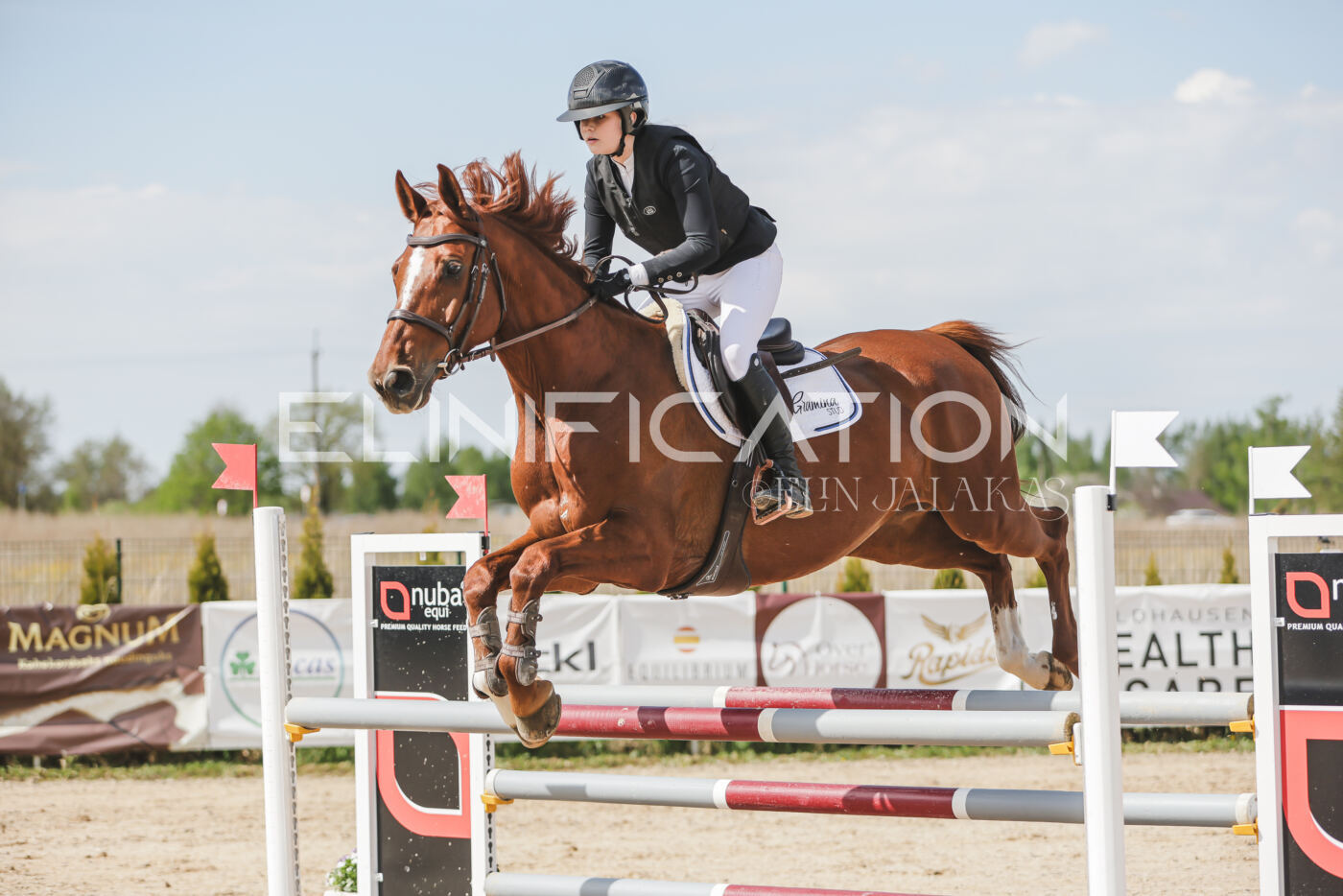 Gramina_Kevad_2026_110_264