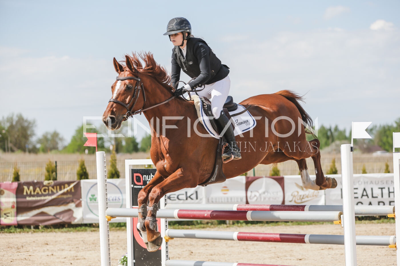 Gramina_Kevad_2026_110_265