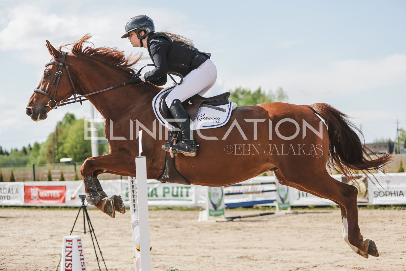 Gramina_Kevad_2026_110_266