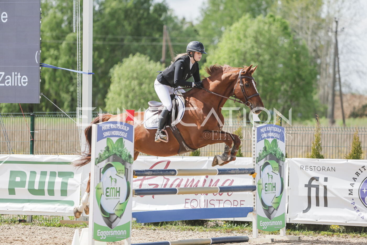 Gramina_Kevad_2026_110_269