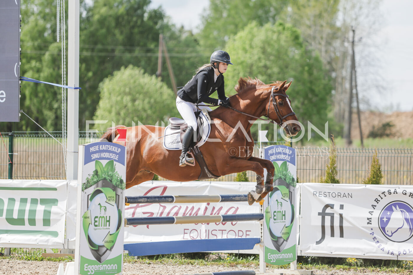 Gramina_Kevad_2026_110_270