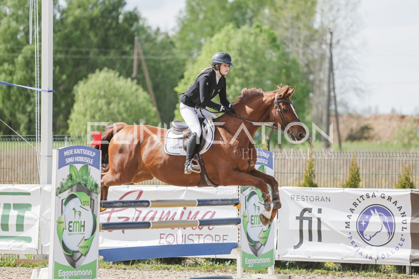Gramina_Kevad_2026_110_271