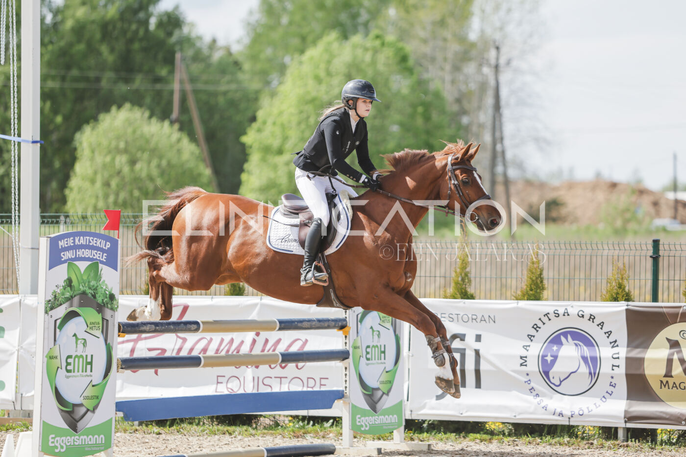 Gramina_Kevad_2026_110_272