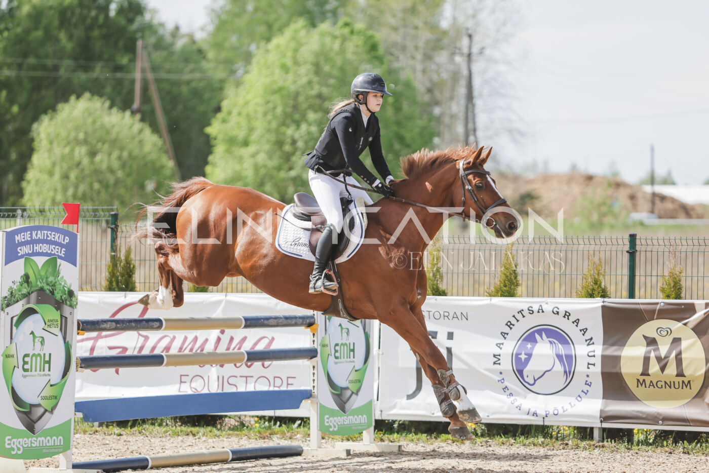 Gramina_Kevad_2026_110_273