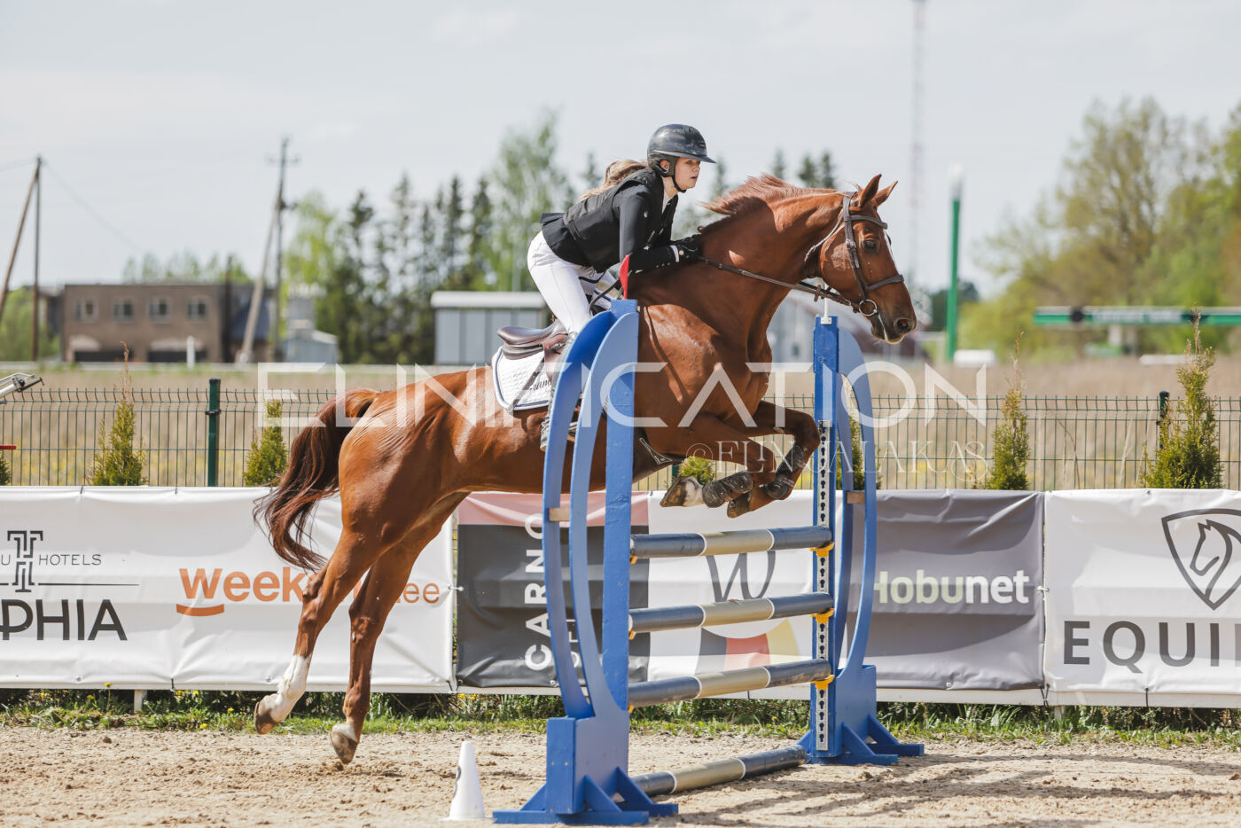 Gramina_Kevad_2026_110_274