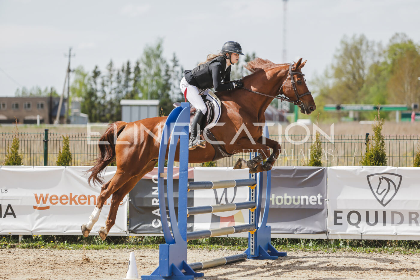Gramina_Kevad_2026_110_275