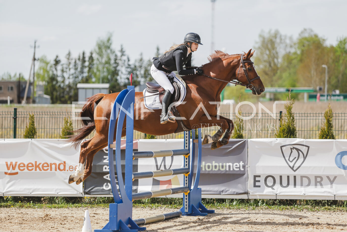 Gramina_Kevad_2026_110_276
