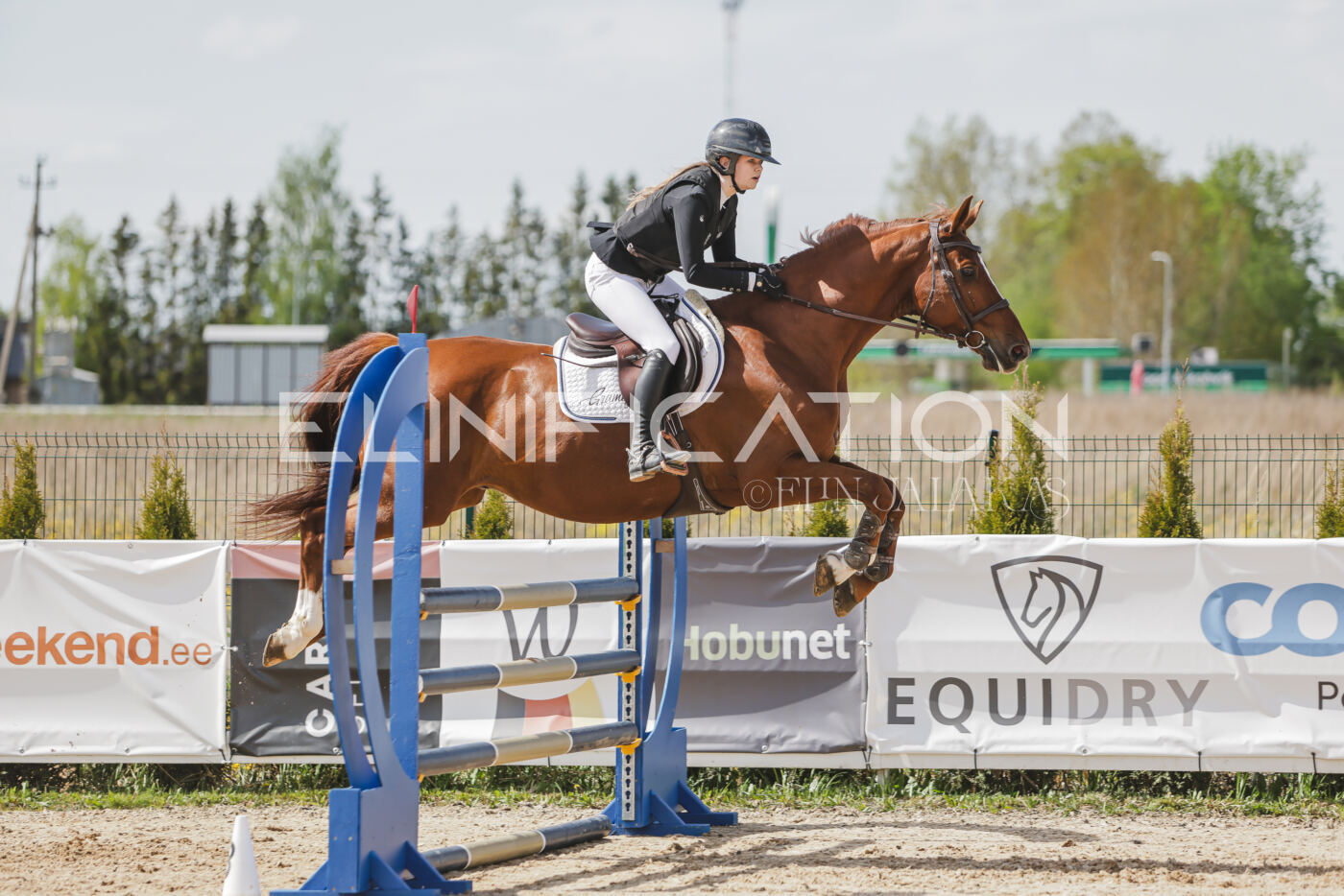 Gramina_Kevad_2026_110_277