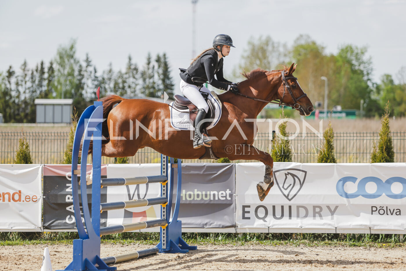 Gramina_Kevad_2026_110_278