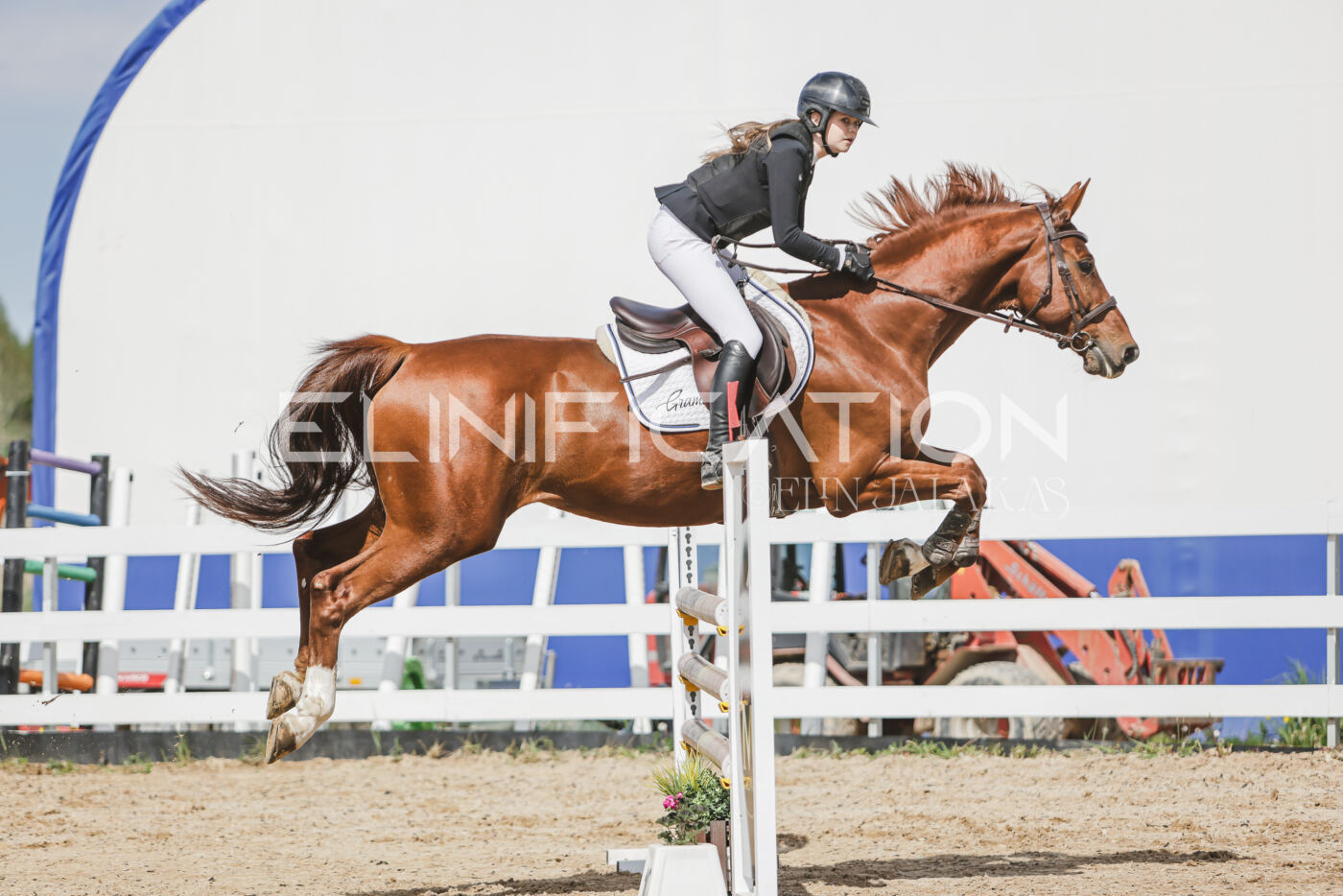 Gramina_Kevad_2026_110_280