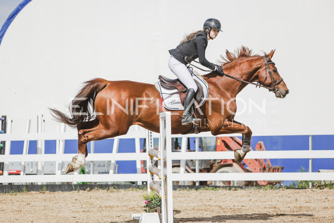 Gramina_Kevad_2026_110_281