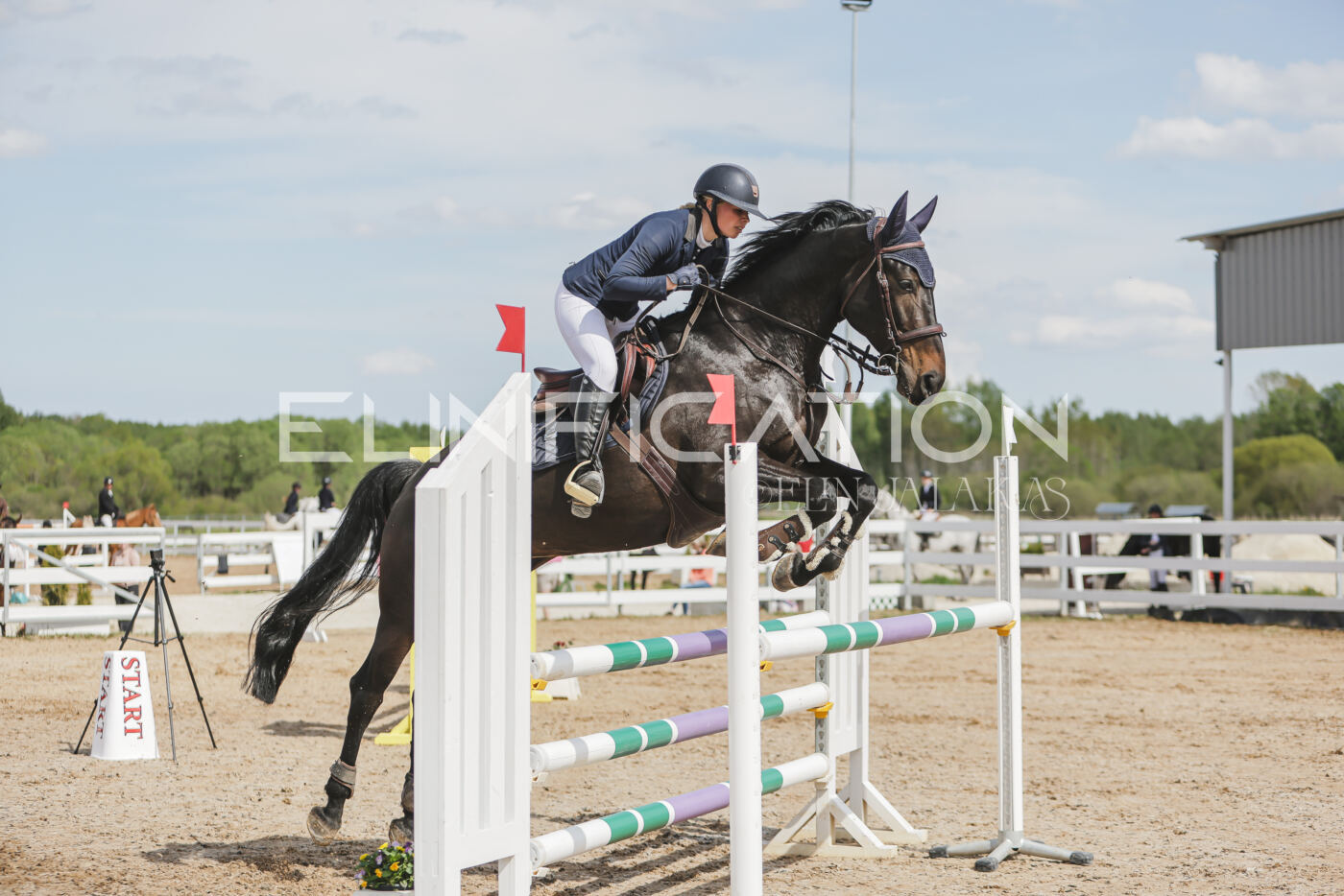 Gramina_Kevad_2026_110_282