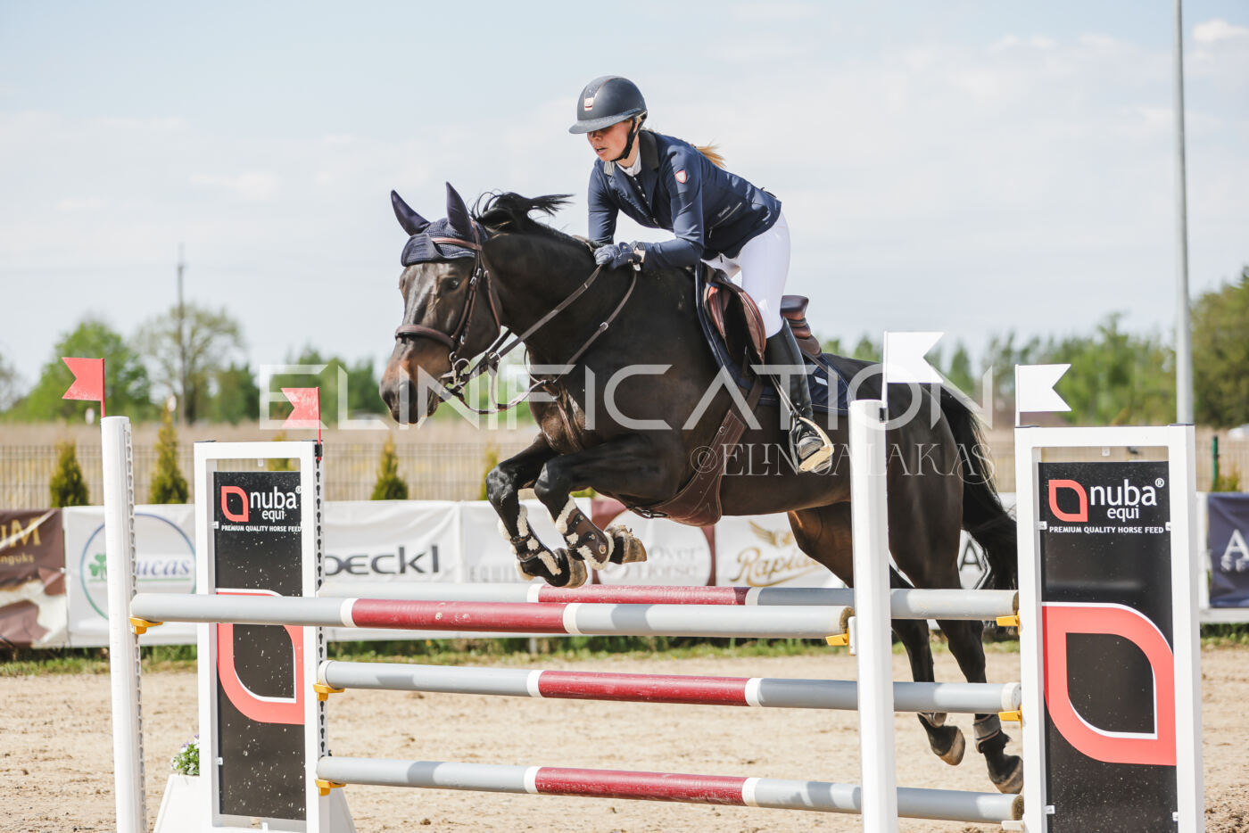 Gramina_Kevad_2026_110_290