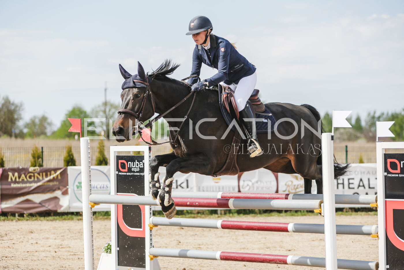 Gramina_Kevad_2026_110_292