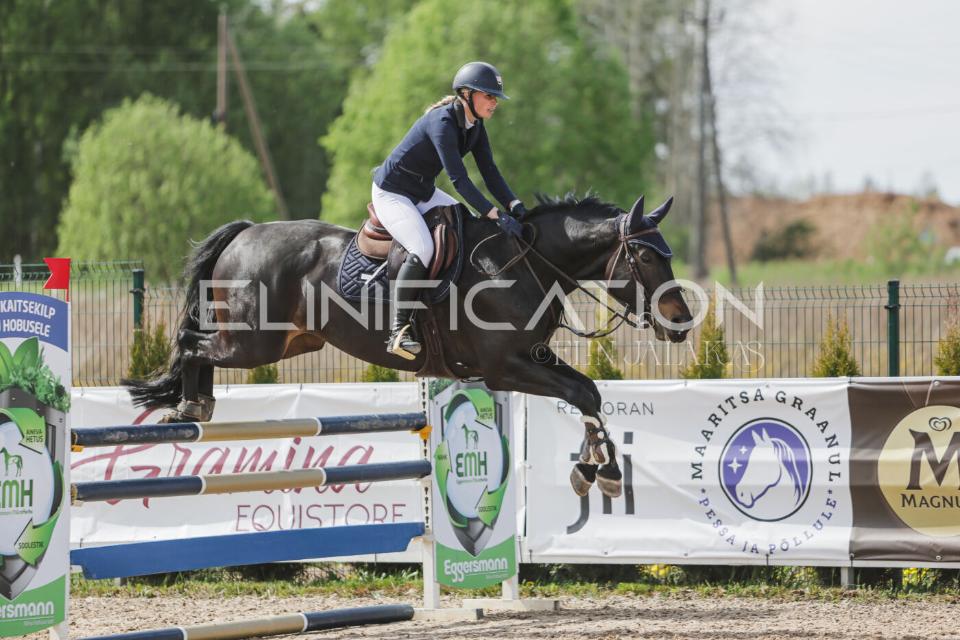 Gramina_Kevad_2026_110_300