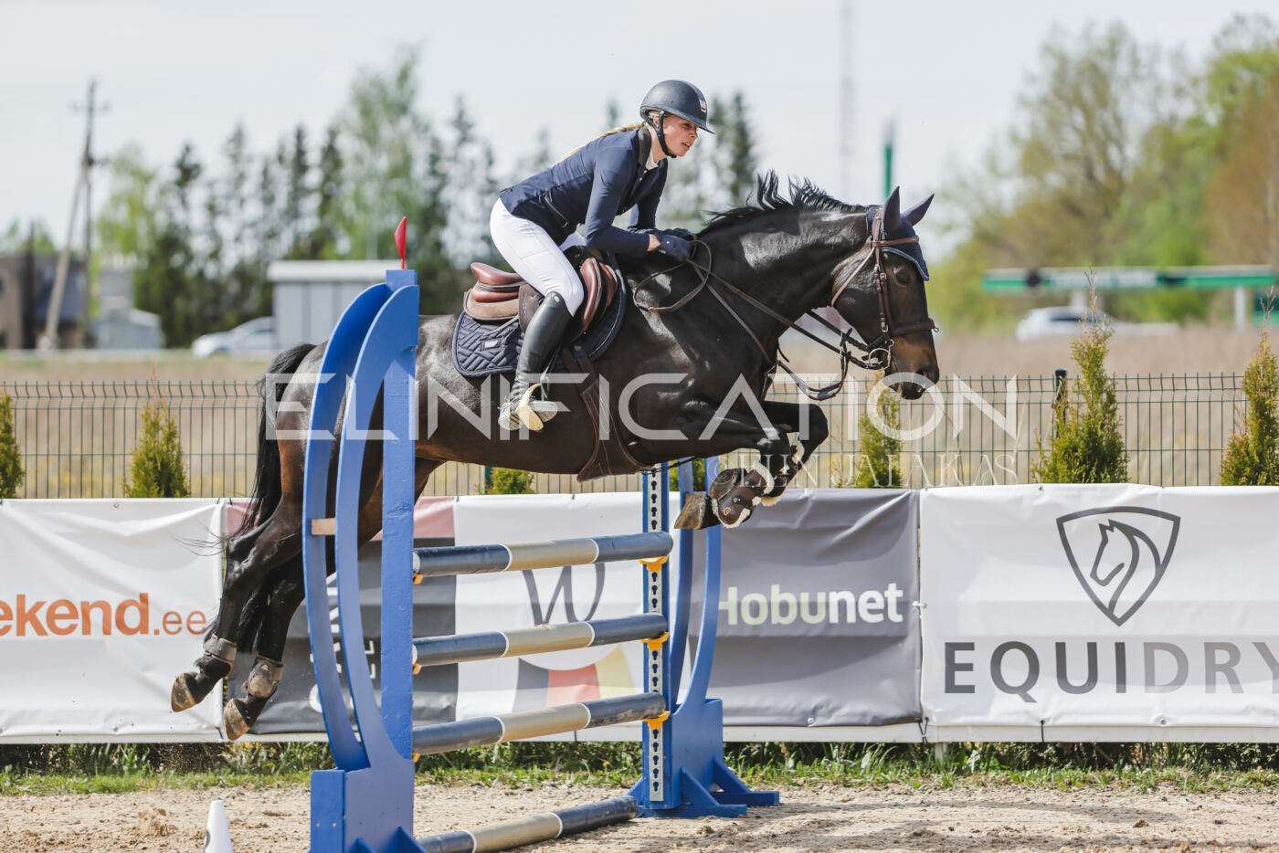 Gramina_Kevad_2026_110_301