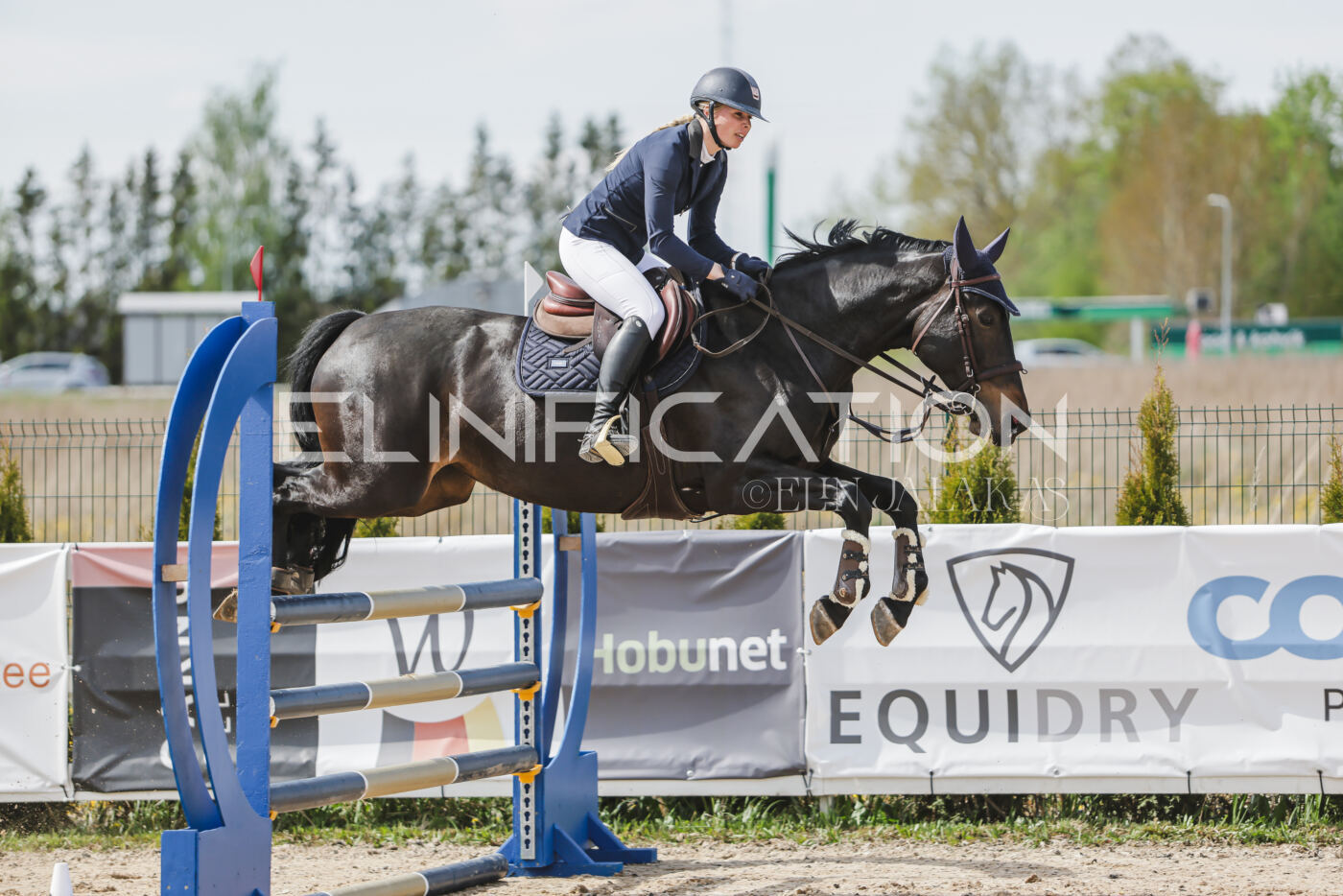 Gramina_Kevad_2026_110_303