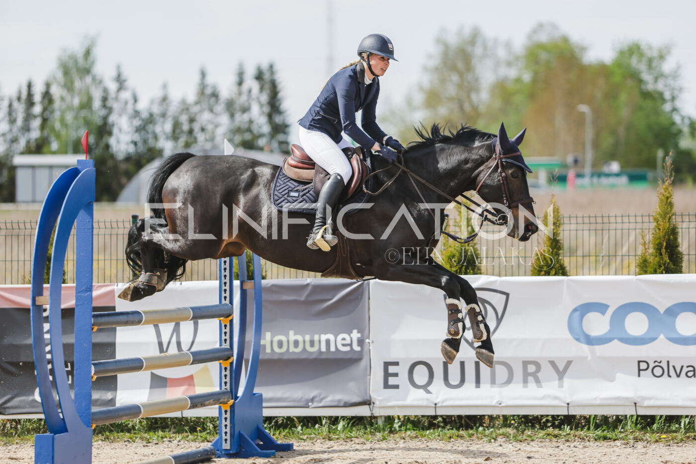 Gramina_Kevad_2026_110_304