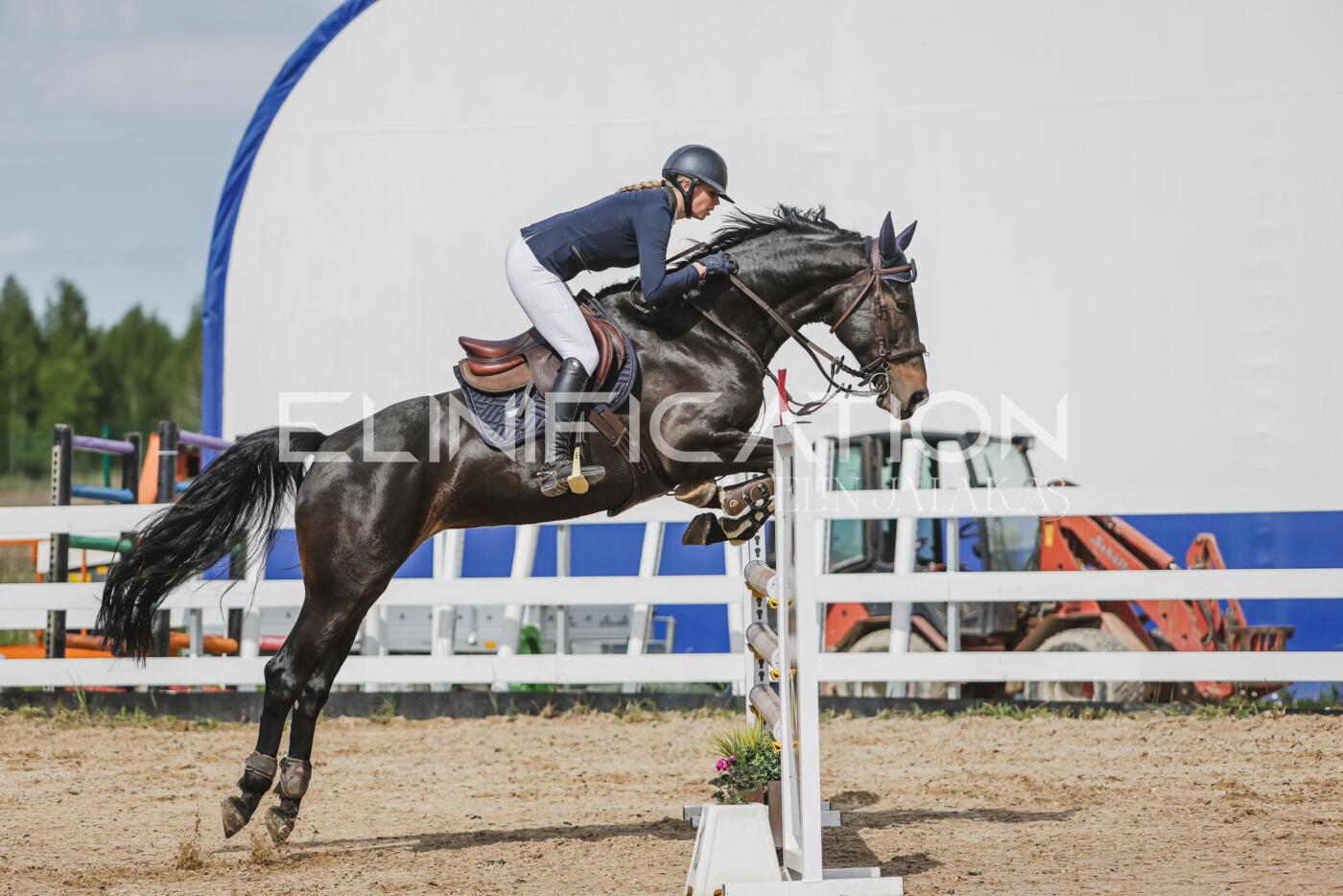 Gramina_Kevad_2026_110_305