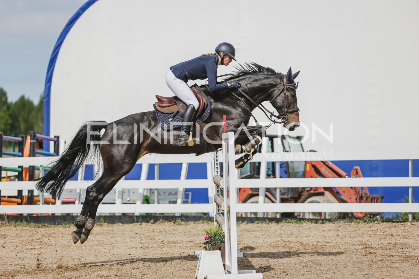 Gramina_Kevad_2026_110_306