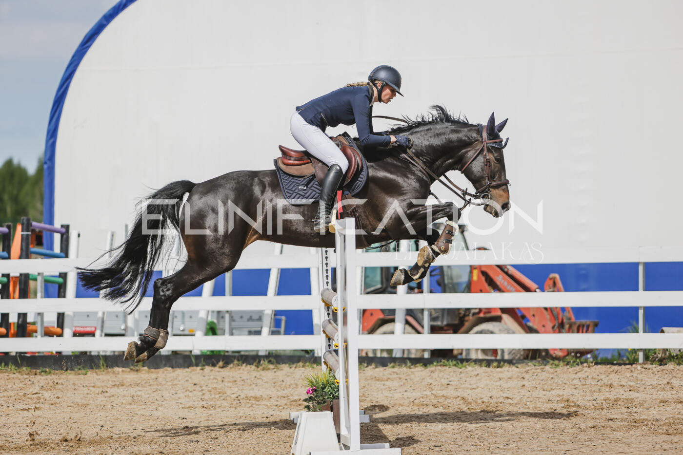 Gramina_Kevad_2026_110_307