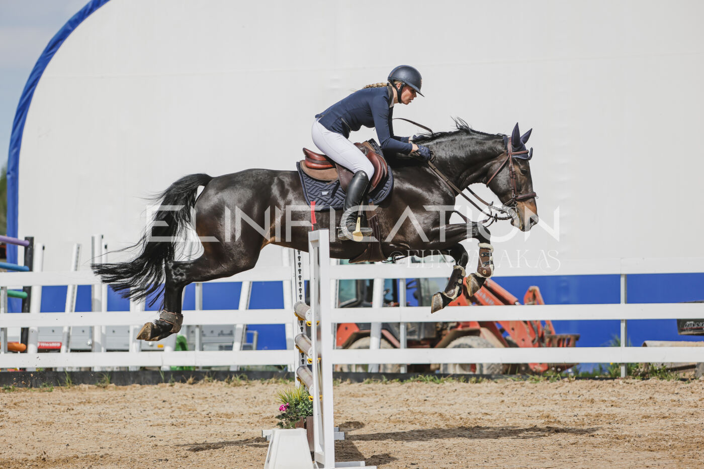 Gramina_Kevad_2026_110_308