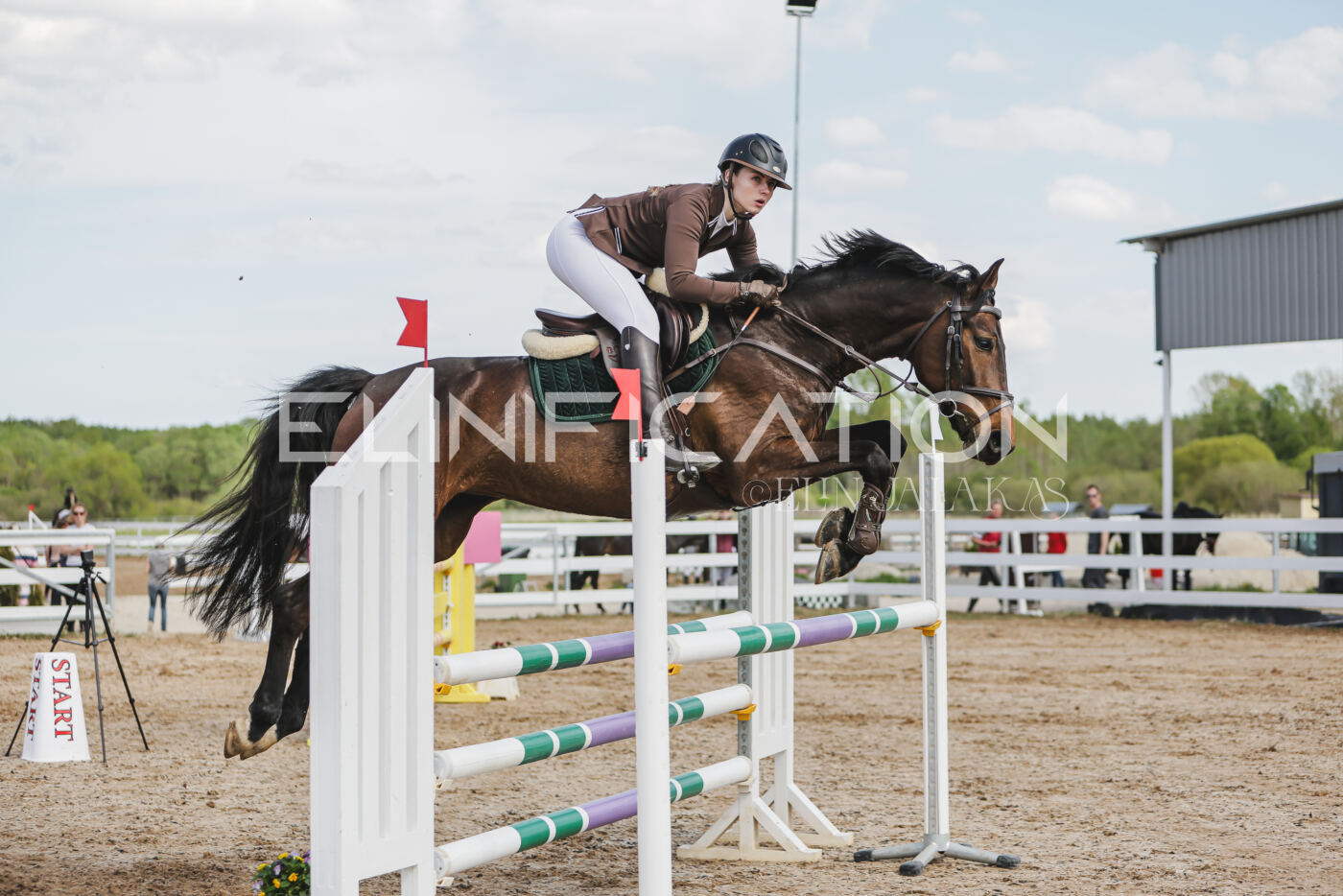 Gramina_Kevad_2026_110_319