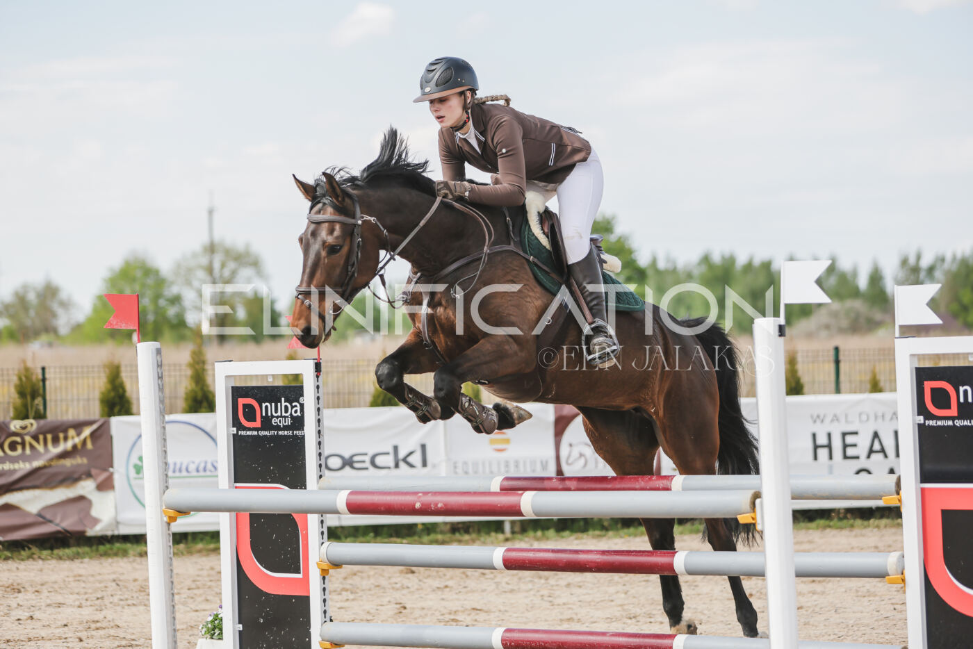 Gramina_Kevad_2026_110_325