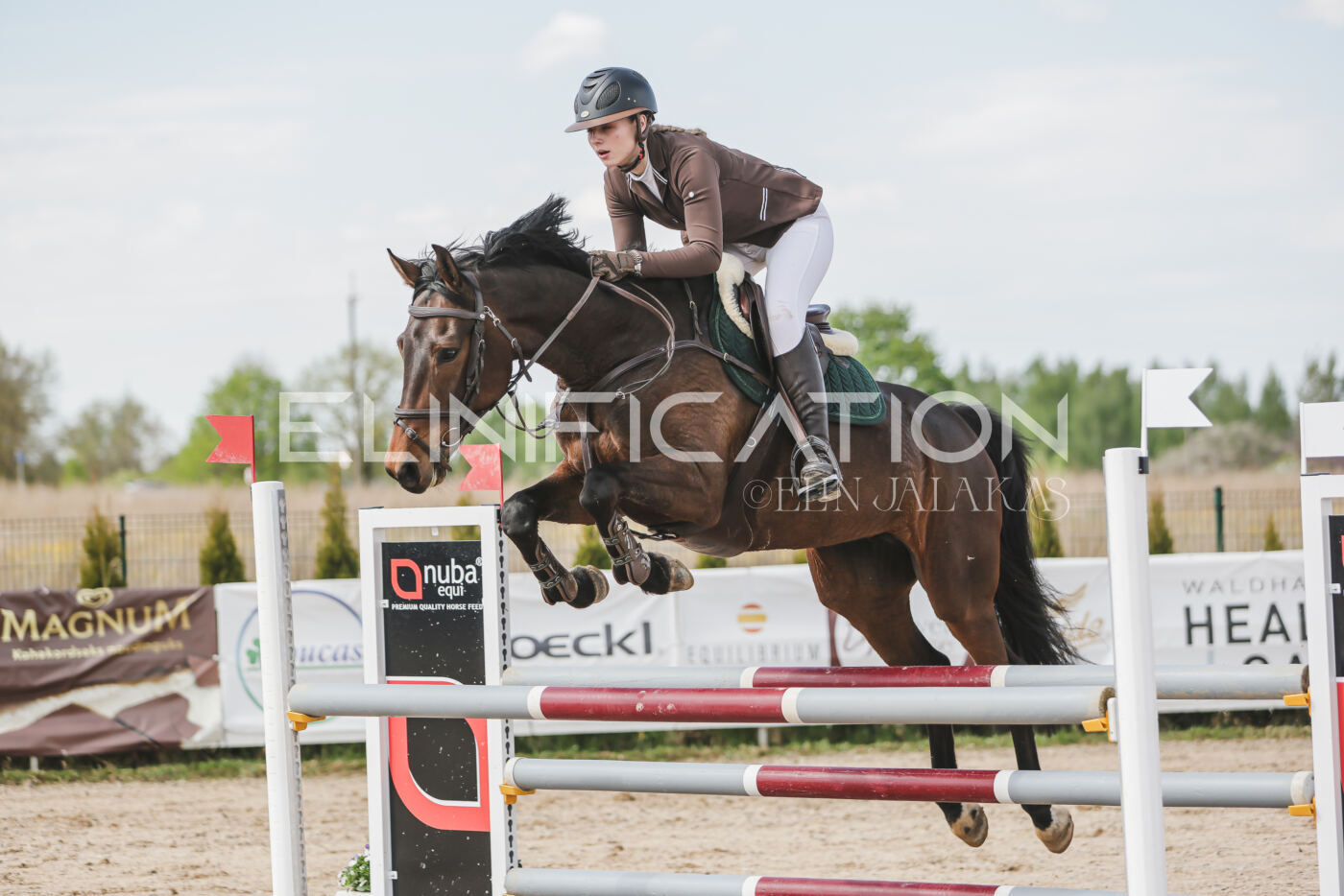 Gramina_Kevad_2026_110_326