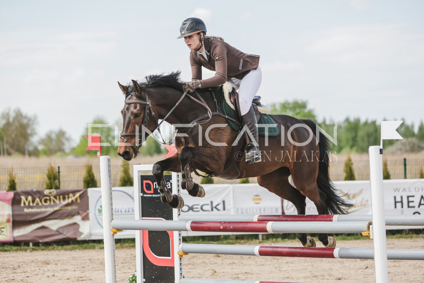 Gramina_Kevad_2026_110_327