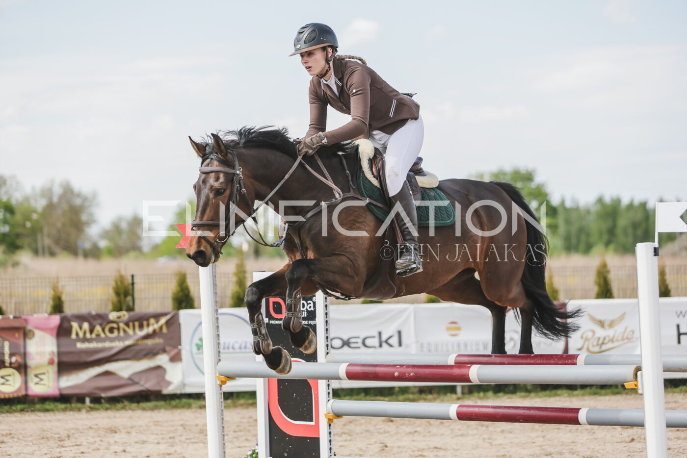 Gramina_Kevad_2026_110_328