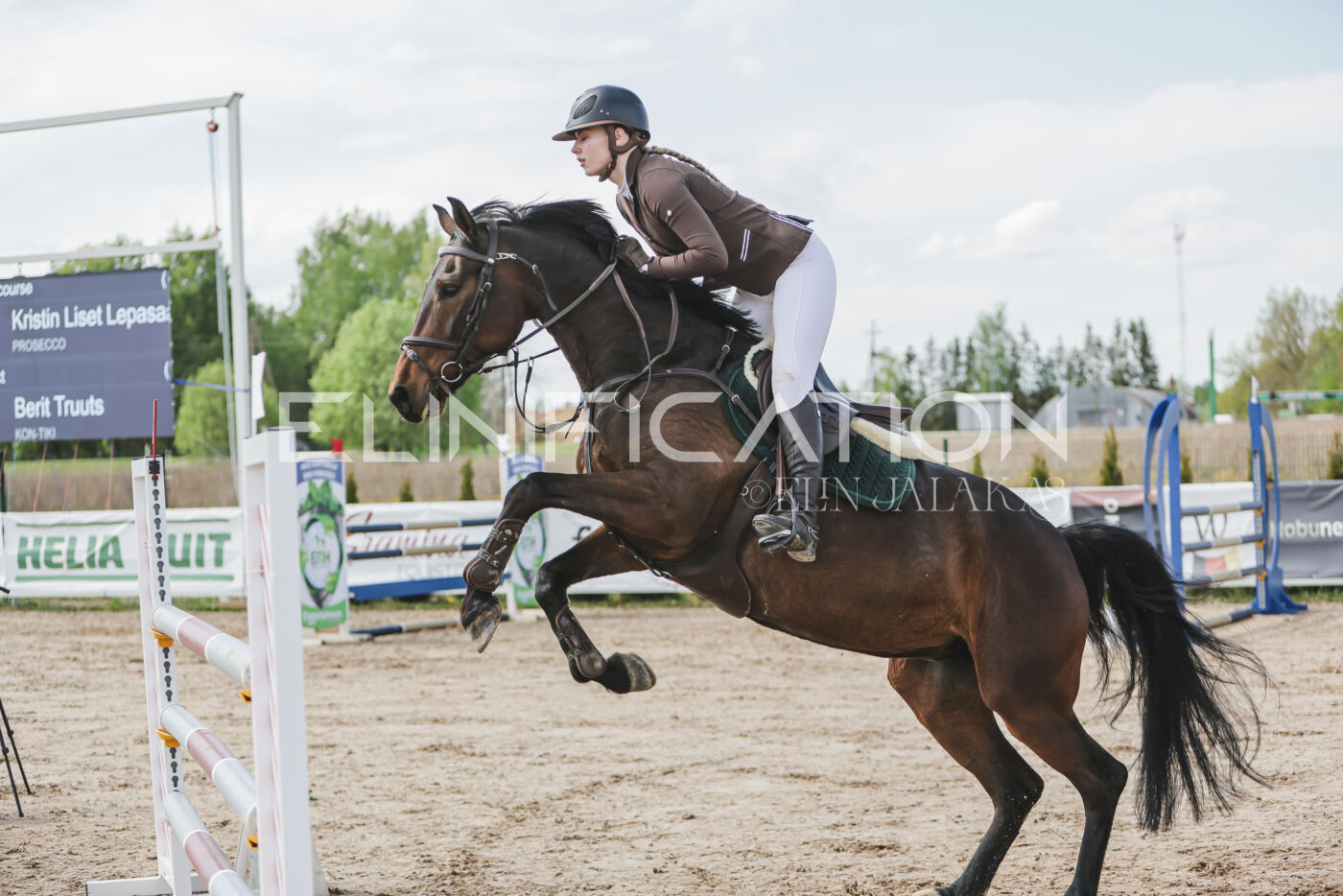 Gramina_Kevad_2026_110_330