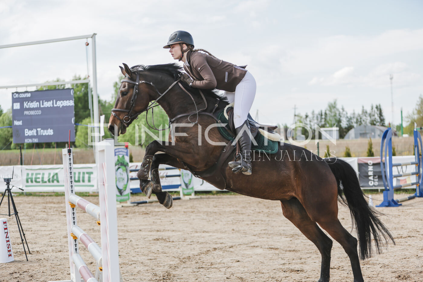 Gramina_Kevad_2026_110_331