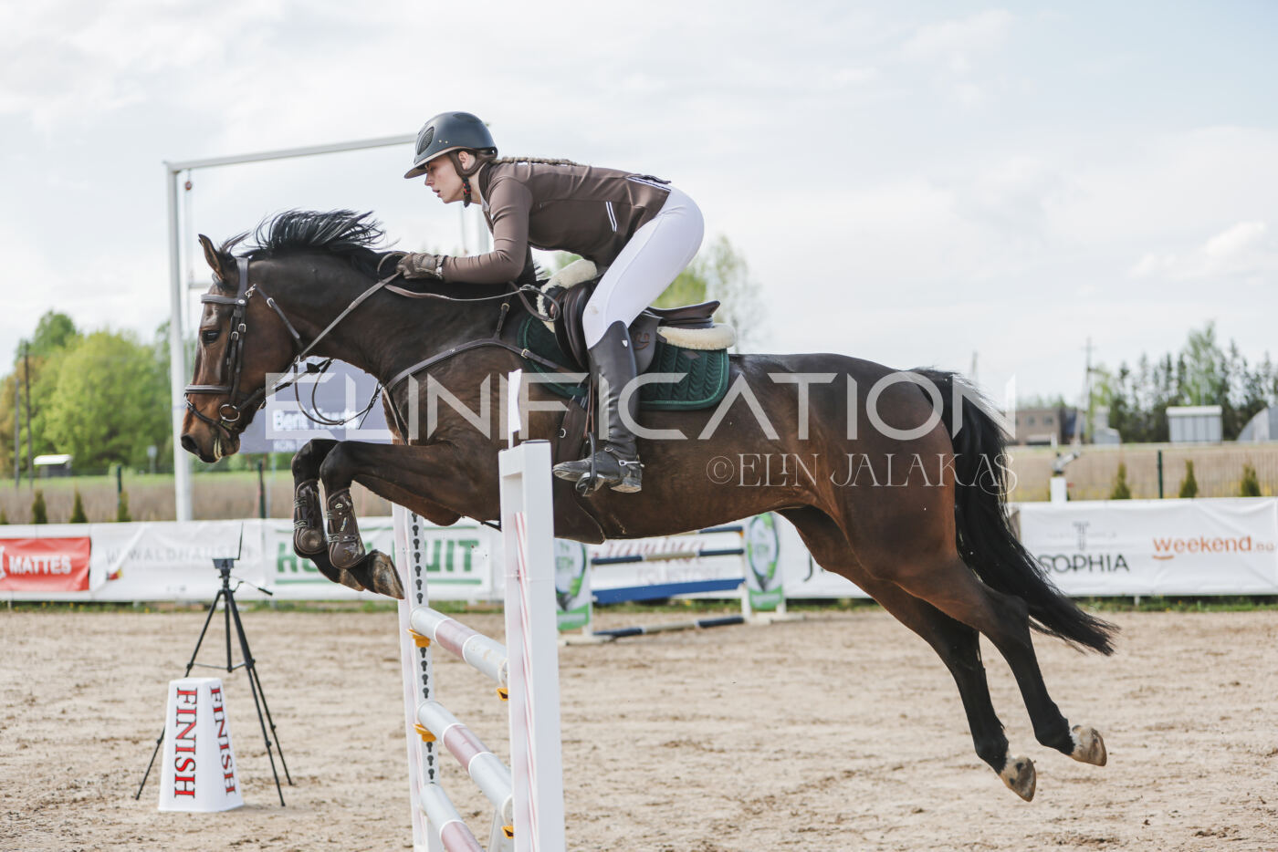 Gramina_Kevad_2026_110_332