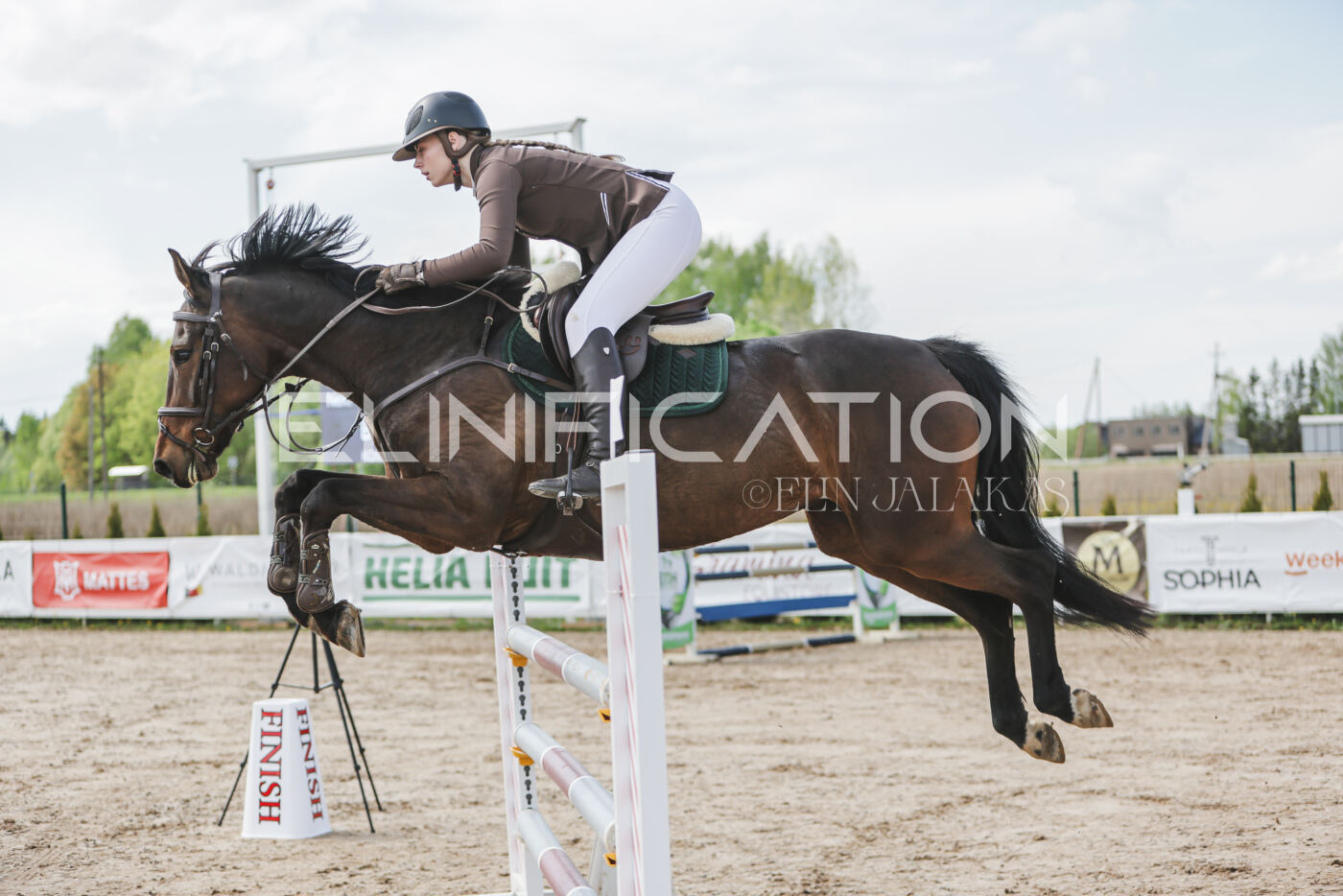 Gramina_Kevad_2026_110_333