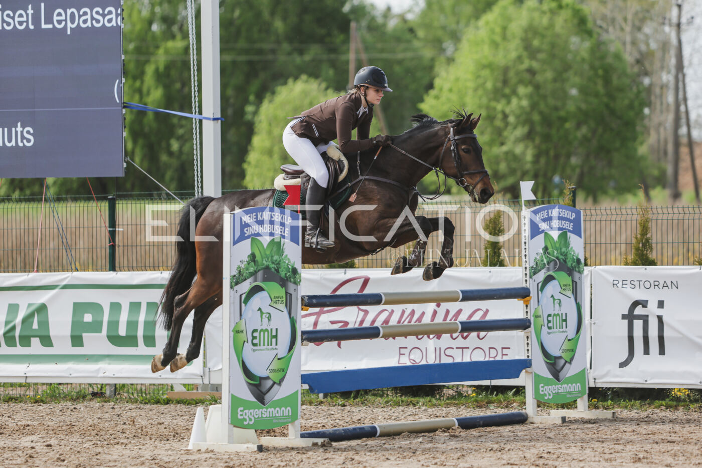 Gramina_Kevad_2026_110_336