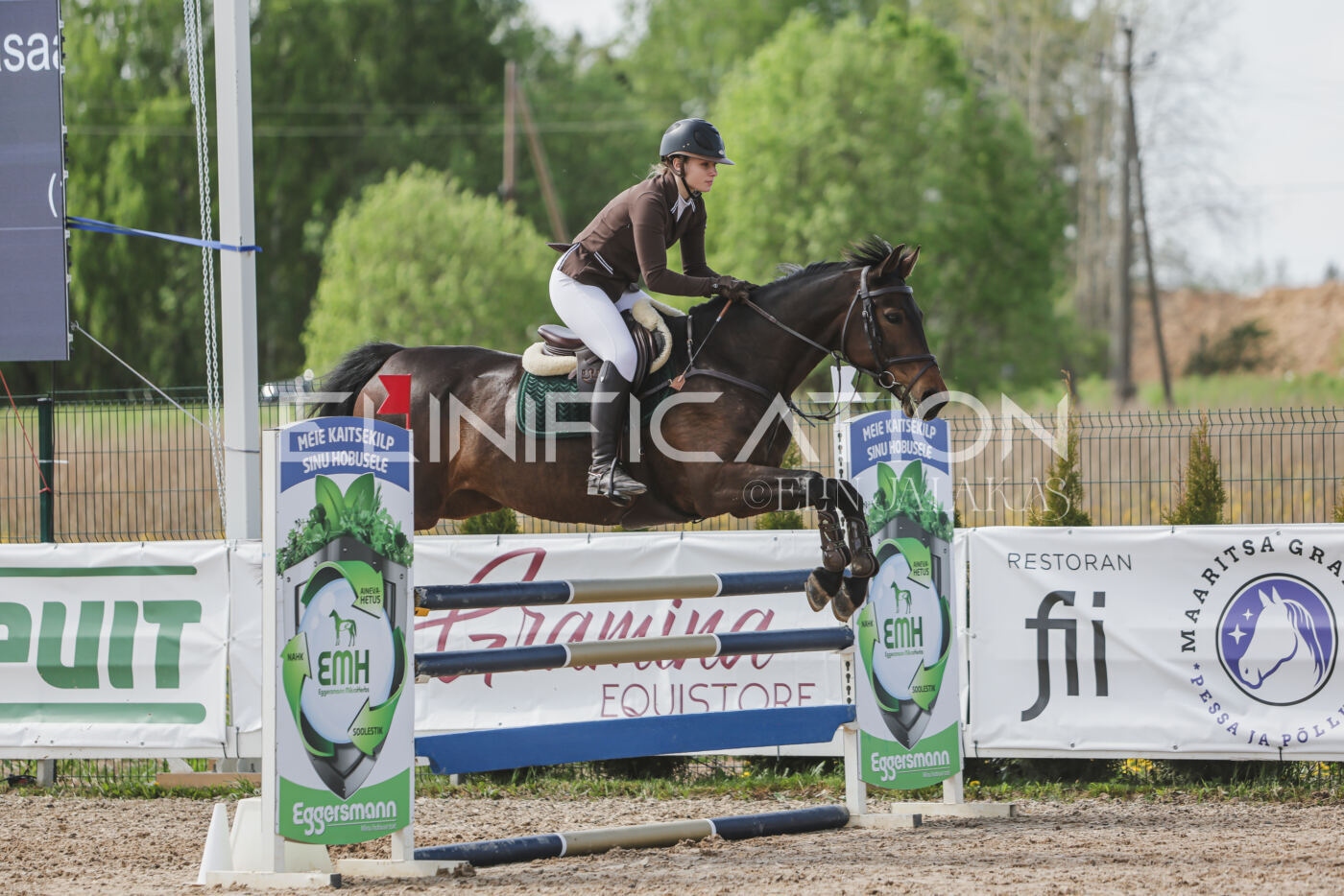 Gramina_Kevad_2026_110_338