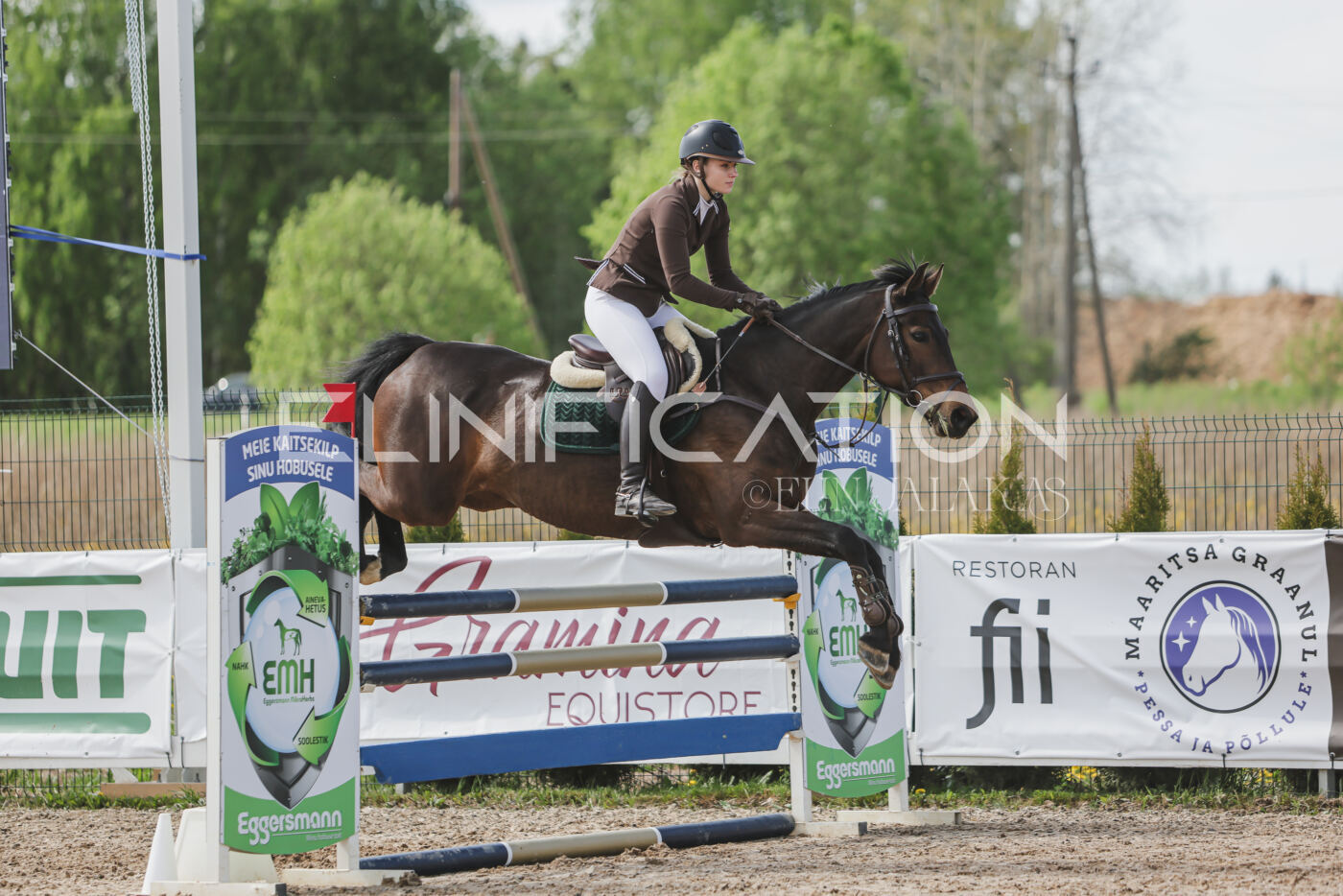 Gramina_Kevad_2026_110_339