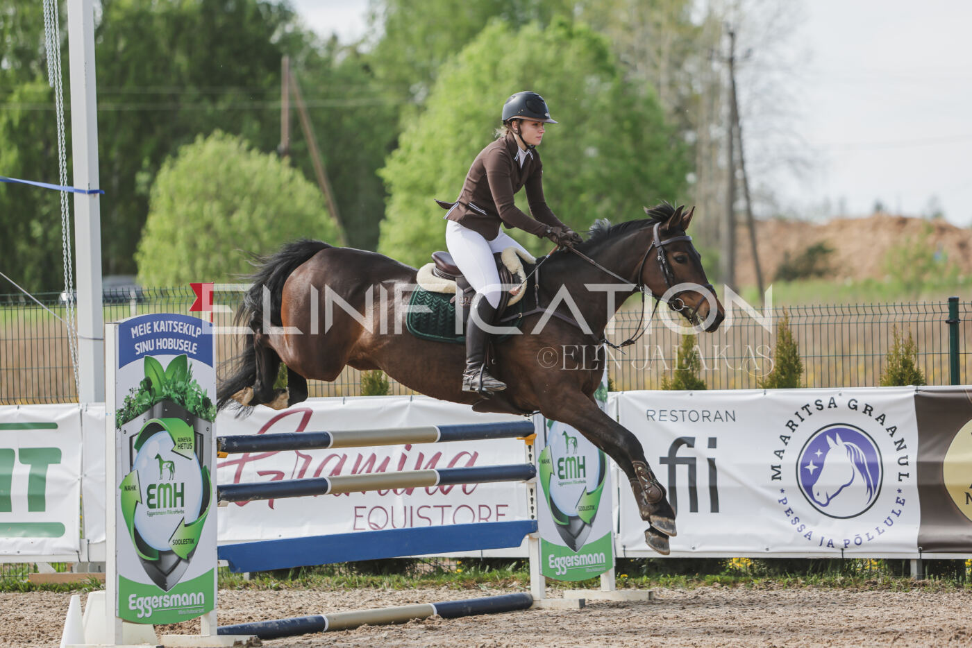 Gramina_Kevad_2026_110_340