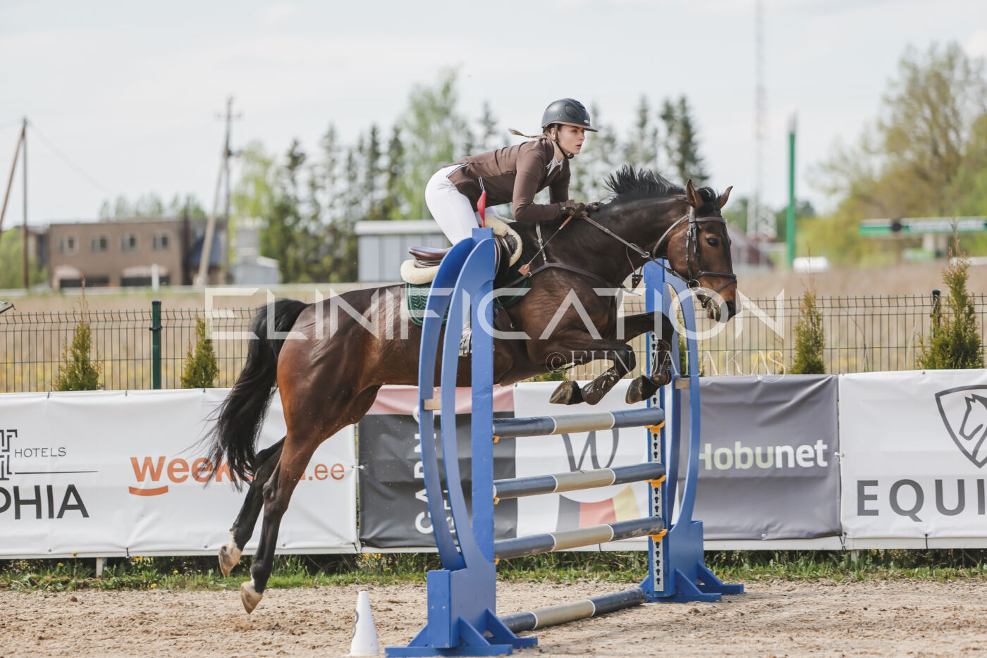 Gramina_Kevad_2026_110_341