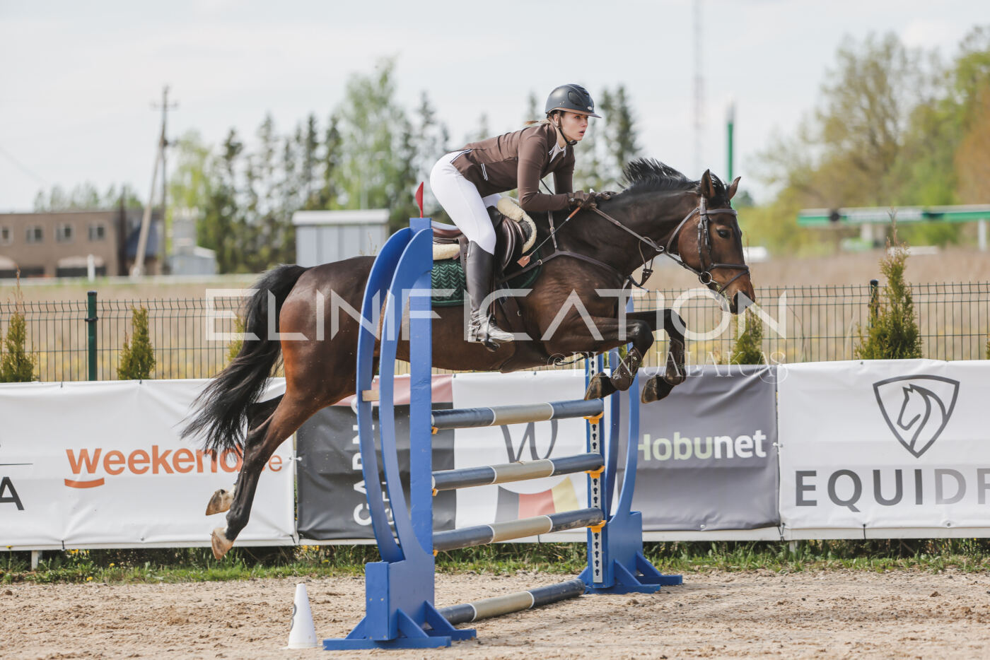 Gramina_Kevad_2026_110_342