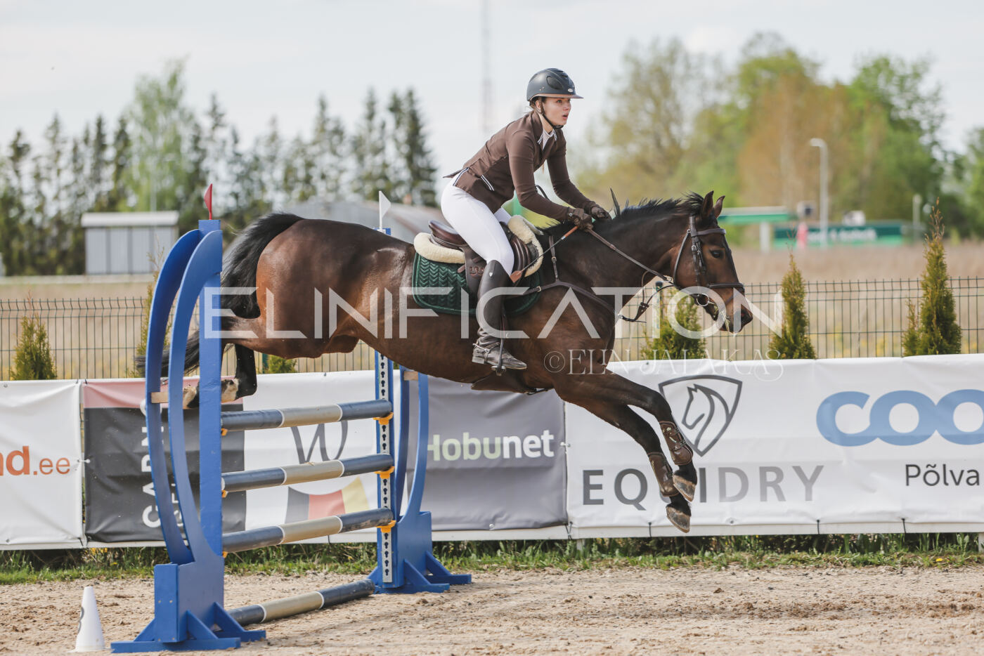 Gramina_Kevad_2026_110_345