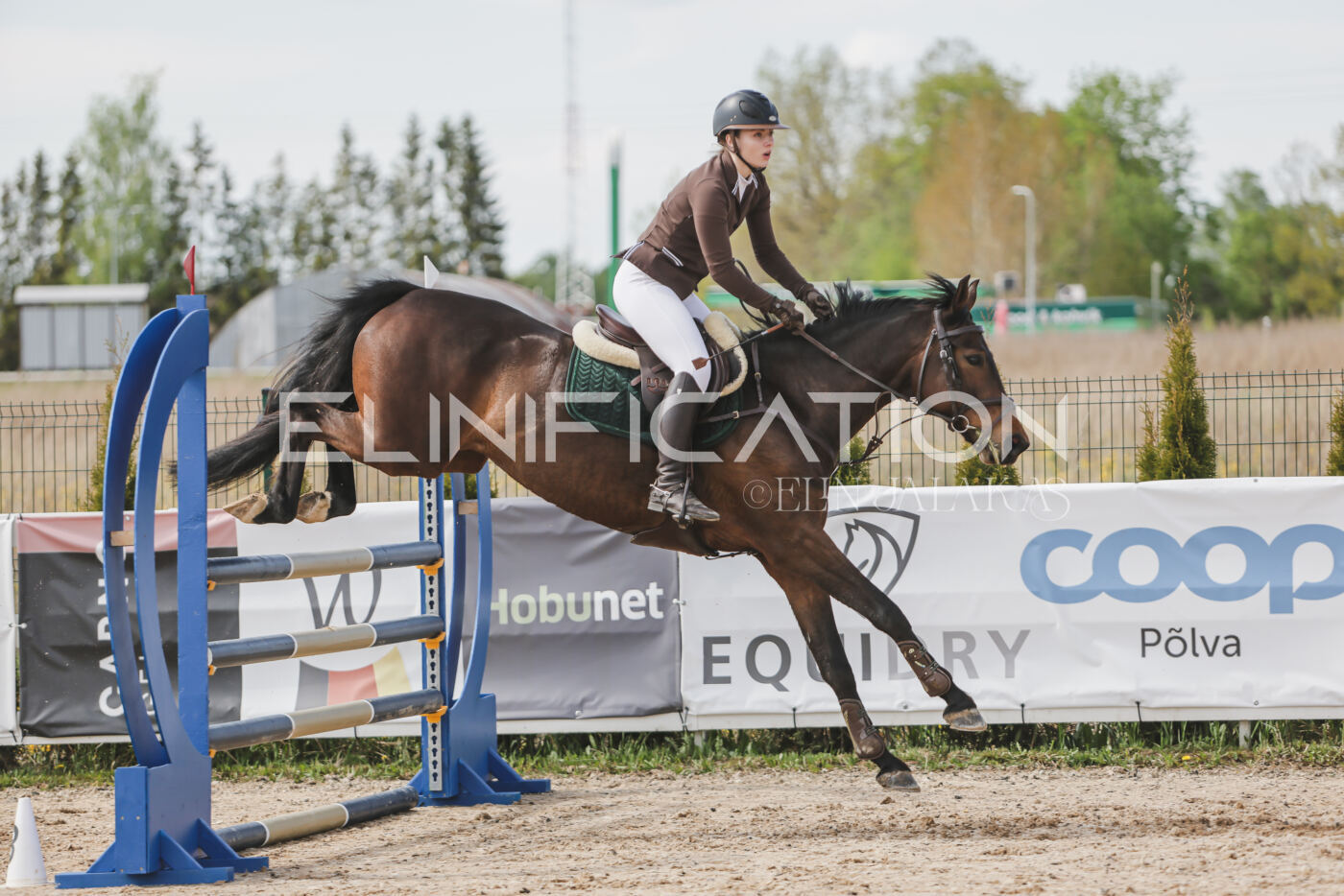 Gramina_Kevad_2026_110_346