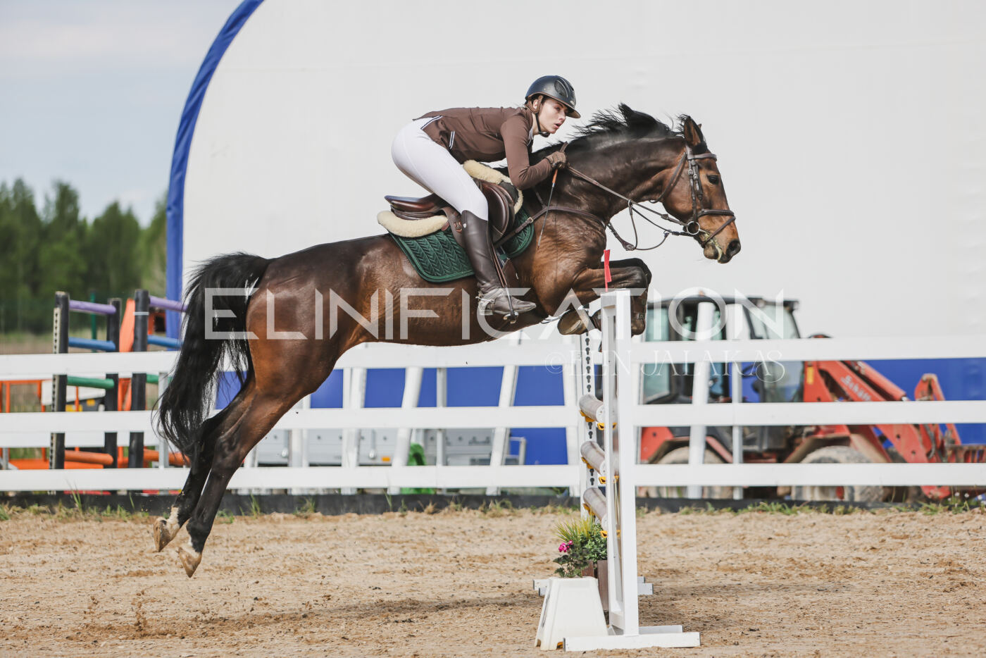 Gramina_Kevad_2026_110_347